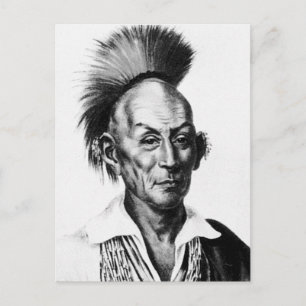 Carte Postale Black Hawk ~ Sac Sauk Chef indien