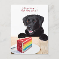 Black Lab - La vie est courte, mangez le gâteau - 