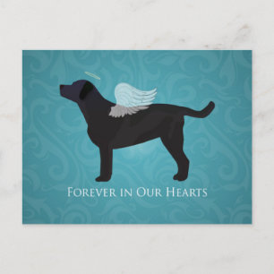 Carte Postale Black Lab Pet Memorial Sympathy Pet Perte Concepti