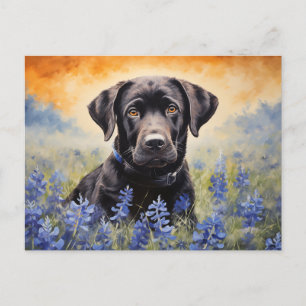 Carte Postale Black Labrador dans Bluebonnets