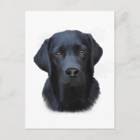 Black Labrador Dog Water Couleur Art Peinture