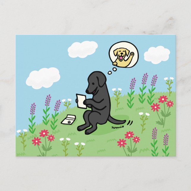 Carte Postale Black Labrador et lettre d'un ami (Devant)