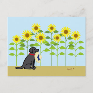 Carte Postale Black Labrador et Sunflower été