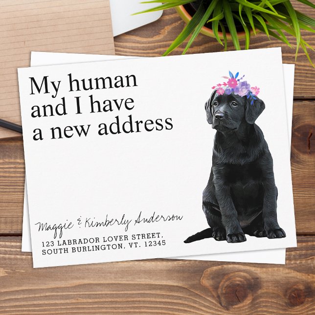 Carte Postale Black Labrador Nouvelle adresse Faire-part de dépl (Créateur téléchargé)