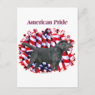 Carte Postale Black Labrador Pride