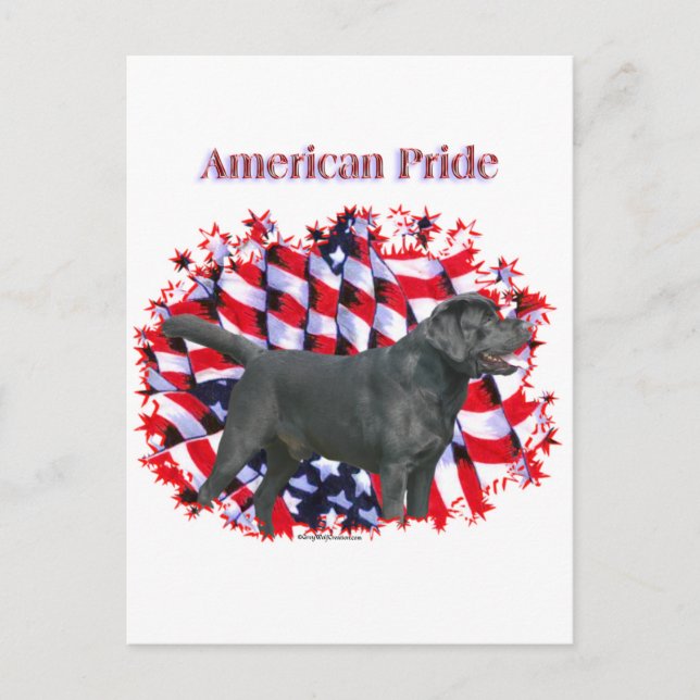Carte Postale Black Labrador Pride (Devant)