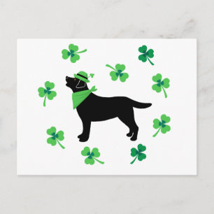 Carte Postale Black Labrador St. Patrick's Day Shamrock Feuille