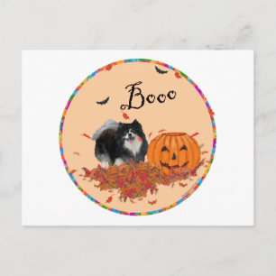 Carte Postale Black Pomeranian Halloween