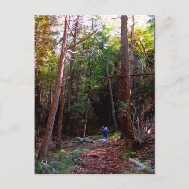 Carte Postale Black Rock Trails, Harriman State Park, New York (Devant)