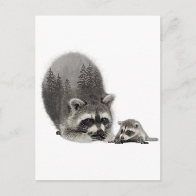 Carte Postale Black White Cute Raccoon avec bébé (Devant)