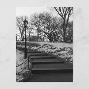 Carte Postale Black White NY Central Park