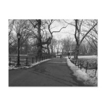 Black White NY Central Park