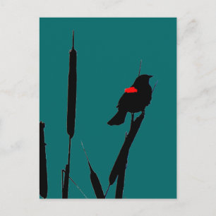Carte Postale Blackbird à ailes rouges et queues de chat