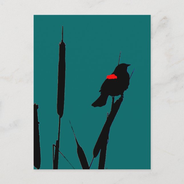 Carte Postale Blackbird à ailes rouges et queues de chat (Devant)