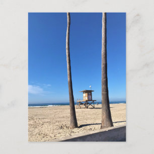 Carte Postale Blackies, Newport Beach, Californie