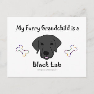 Carte Postale BLackLab