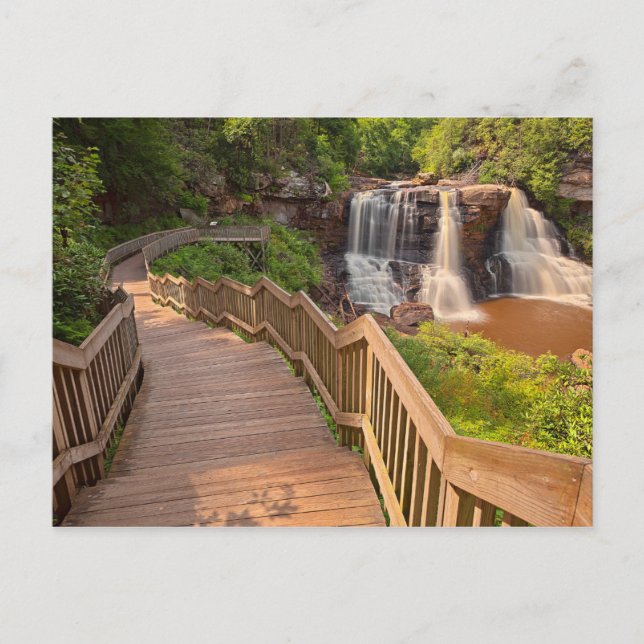 Carte postale Blackwater Falls State Park West Vir (Devant)