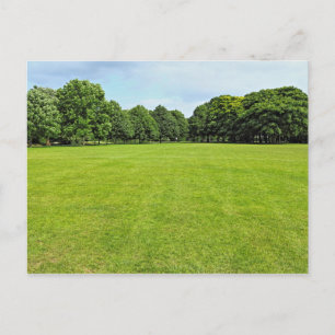 Carte Postale Blackweir Fields, Bute Park, Cardiff, Pays de Gall