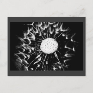 Carte Postale blacq