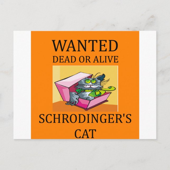 Carte Postale blague de chat de schrodinger (Devant)
