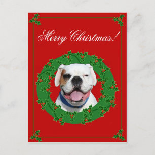 Carte postale blanche de boxeur de Noël