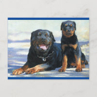 Carte postale blanche de chien chiot Rottweiler