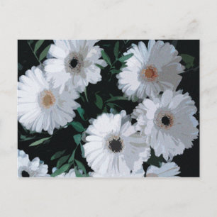 Carte Postale Blancs de Gerbera