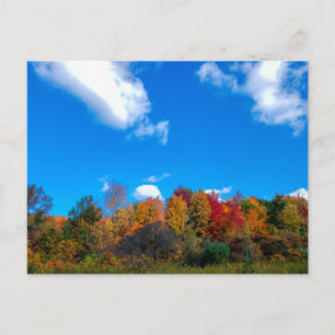 Carte Postale Blendon Woods Metro Park à Fall, Columbus, Ohio