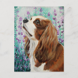 Carte Postale Blenheim Cavalier King Charles Spaniel