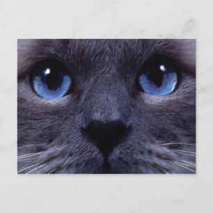 Carte Postale bleu