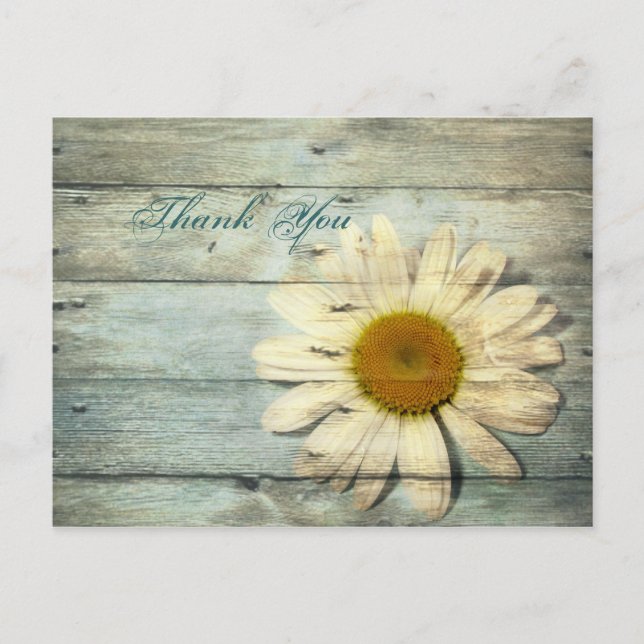 Carte Postale bleu barnwood campagne marguerite mariage merci (Devant)
