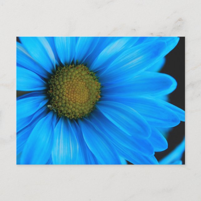 Carte Postale Bleu clair (Devant)