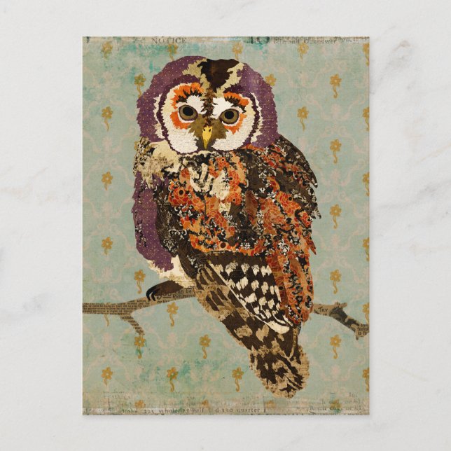 Carte postale bleu de Chouette Amethyst (Devant)
