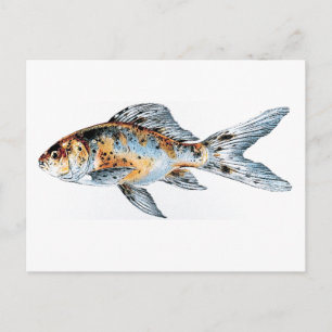 Carte Postale Bleu et orange Shubunkin Poisson d'or Art
