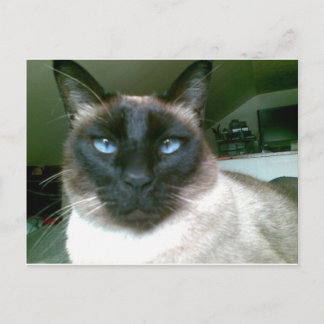 Carte Postale bleu pâle