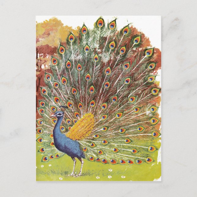 Carte Postale bleu paon (Devant)