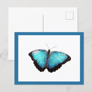 Carte Postale Bleu Papillon Bleu Belle Nature Art Photographie