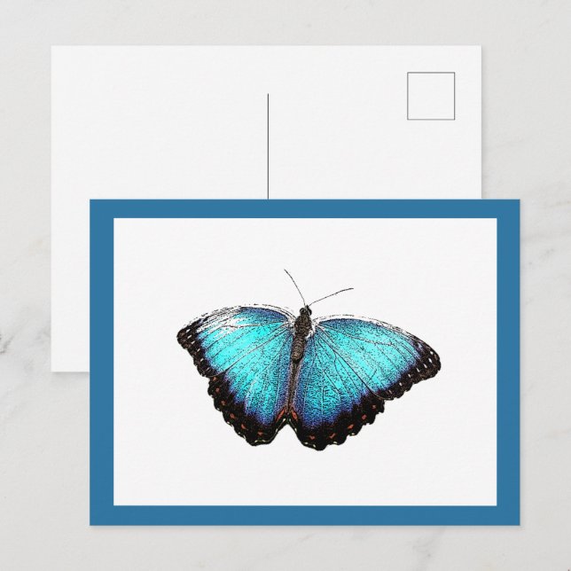 Carte Postale Bleu Papillon Nature Art, Belle Photo Illustration (Devant / Derrière)