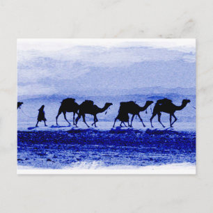 Carte postale bleue Caravan Camel Désert