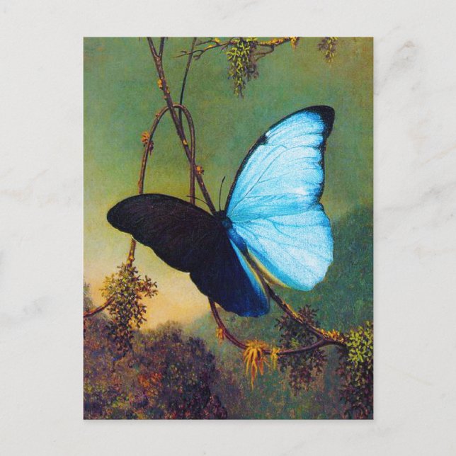 Carte postale bleue de papillon de Morpho (Devant)
