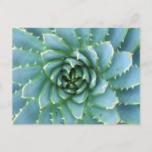 Carte postale bleue en losange