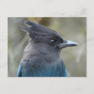 Carte postale bleue Mama