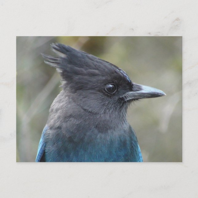 Carte postale bleue Mama (Devant)