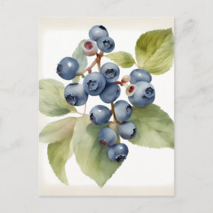 Carte Postale Bleuets délicats aquarelles