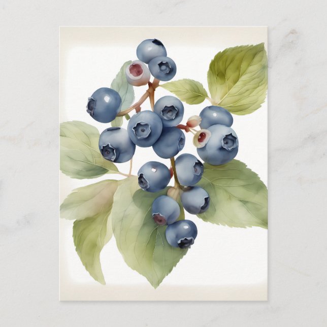 Carte Postale Bleuets délicats aquarelles (Devant)