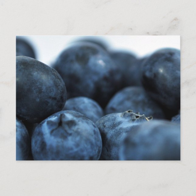 Carte Postale Bleuets frais mûrs (Devant)