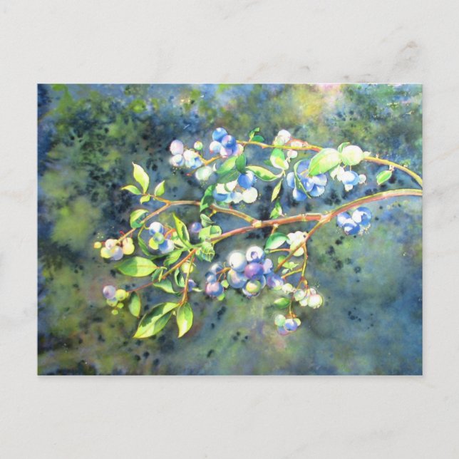 Carte Postale Bleuets, fruit romantique Peinture d'aquarelle (Devant)