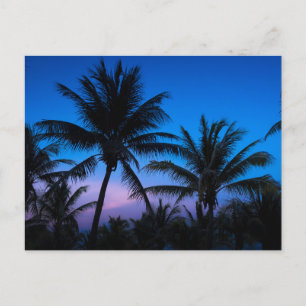 Carte Postale Bliss de l'heure bleue : Silhouette Palm Trees Pos