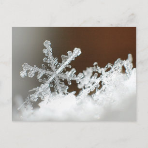 Carte Postale Blizzard de 2009