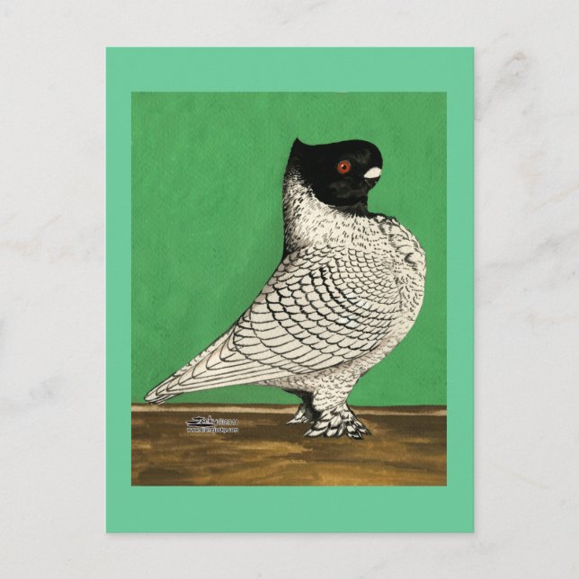 Carte Postale Blondinette Frill Pigeon (Devant)